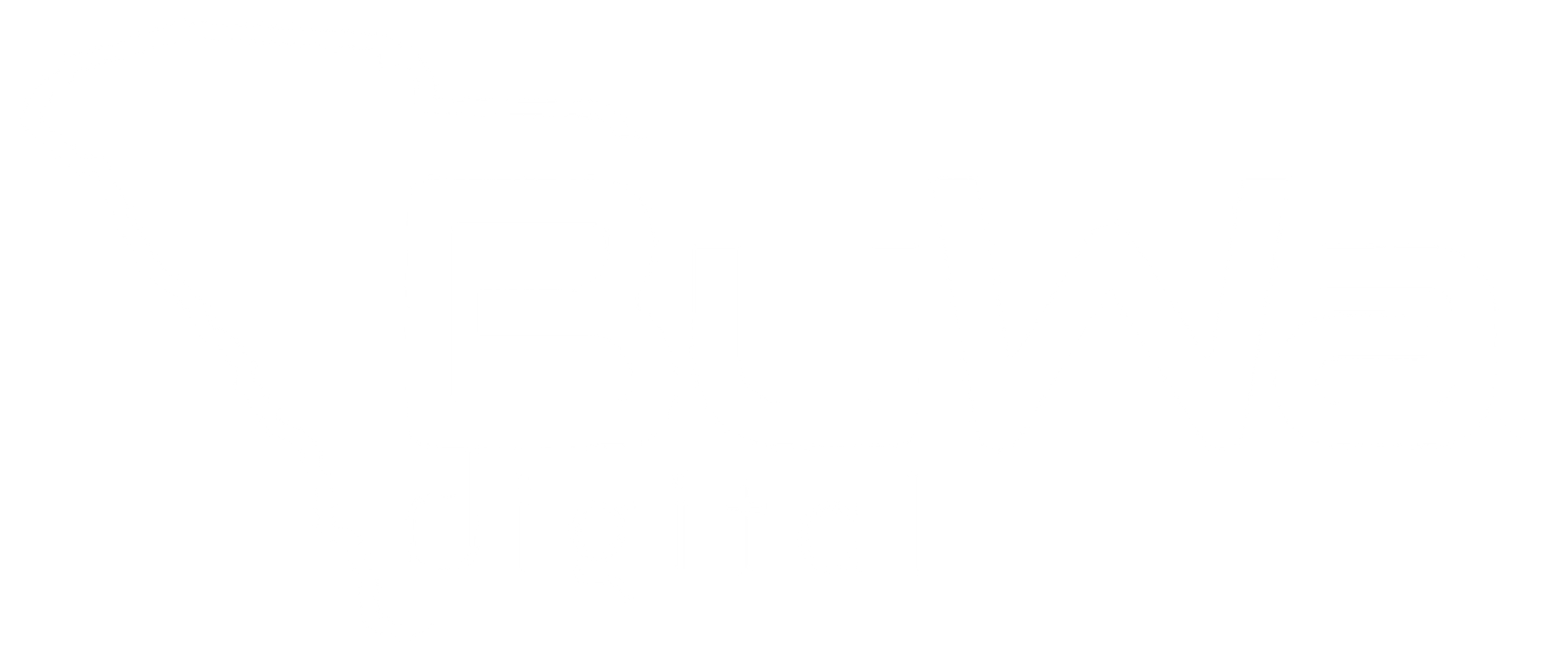 BuWa Digital